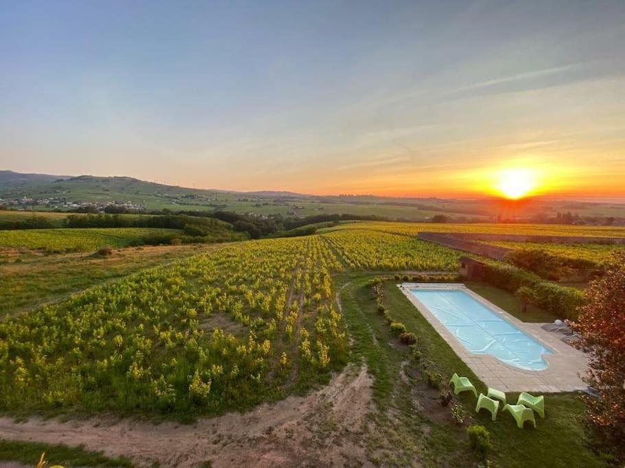 Апартаменти Au Coeur Des Vignes Moulin A Vent La Chapelle-de-Guinchay Екстер'єр фото